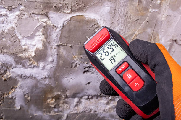 Professional Mold Removal in Ravenna, NE